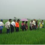 弘昌稻米產銷契作集團產區-病蟲害防治講習會